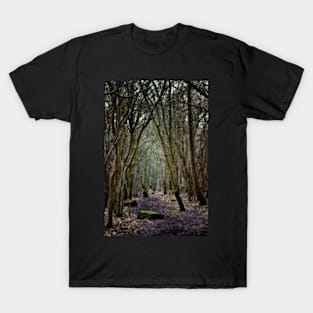 Wistful Wanderings T-Shirt